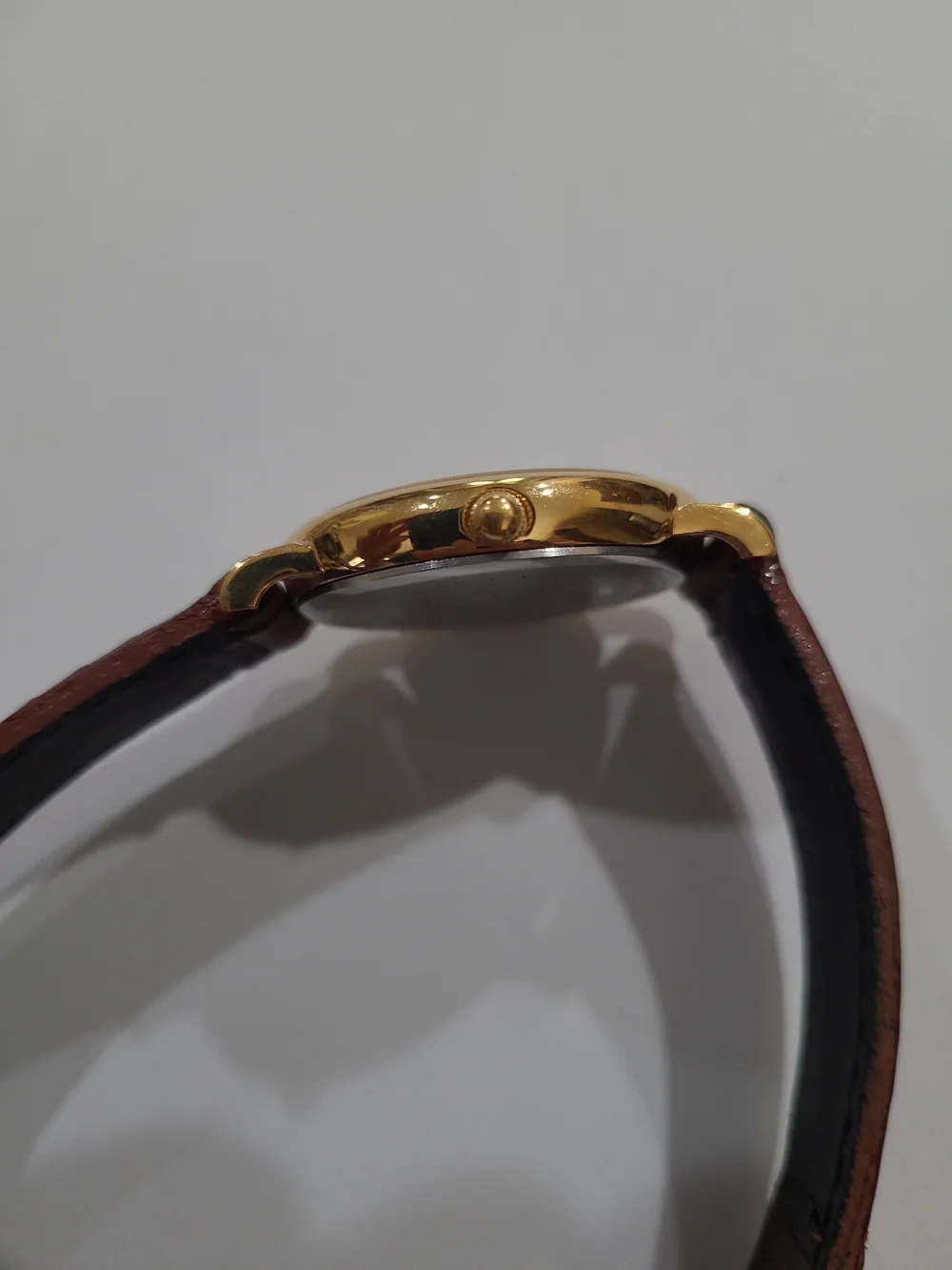 Timex Tigger Dial Watch with Gold-Tone Case and Brown Leather Strap